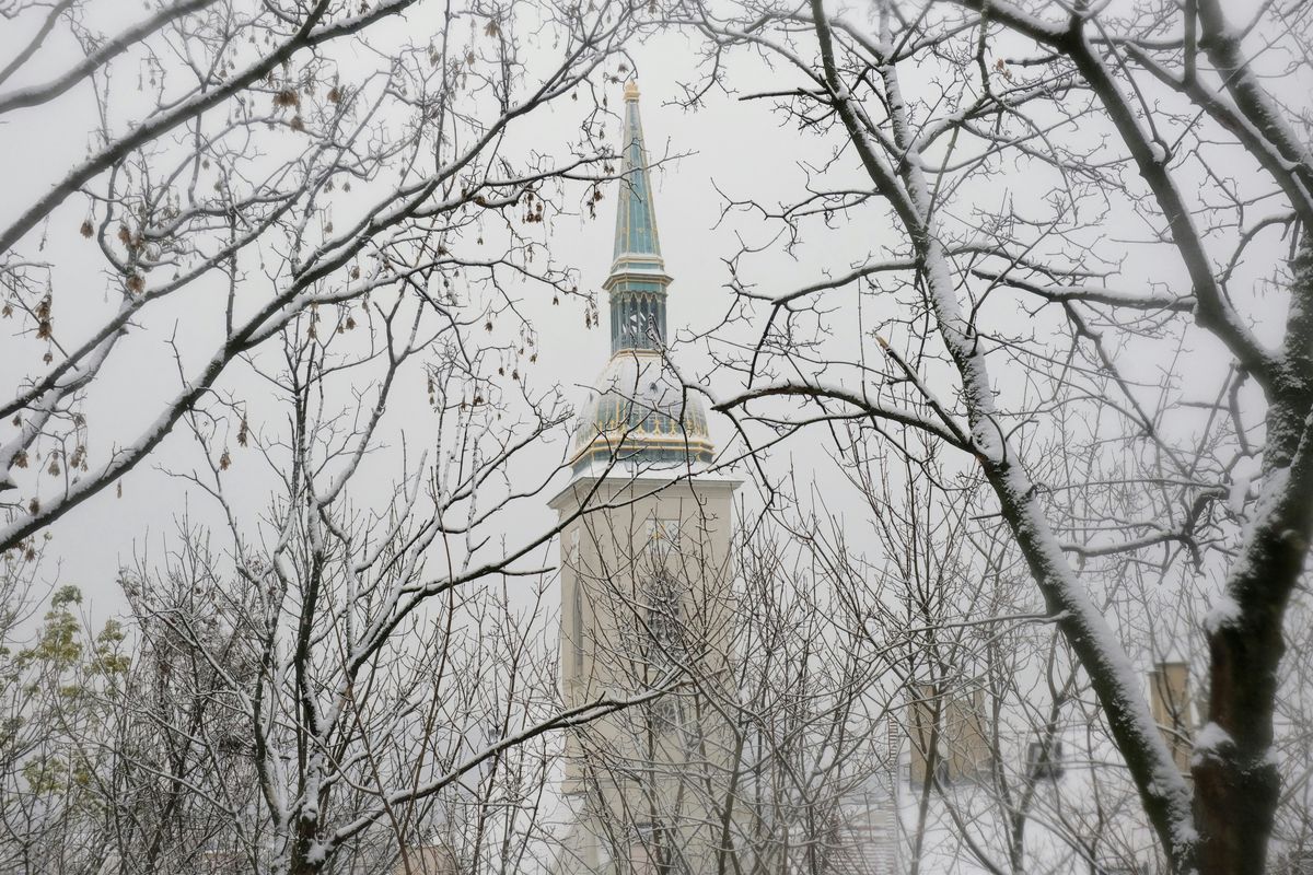 Der Turm des Martinsdoms mit grünlicher Turmspitze und vergoldeter Krone, gesehen durch schneebedeckte Zweige