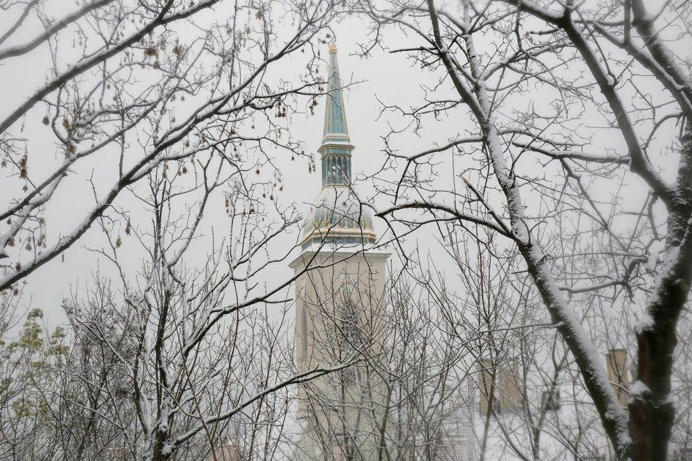 Der Turm des Martinsdoms mit grünlicher Turmspitze und vergoldeter Krone, gesehen durch schneebedeckte Zweige